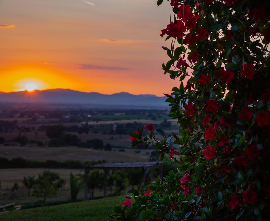 Podere N.8 Bio Casale Maremma ألبيريزي المظهر الخارجي الصورة
